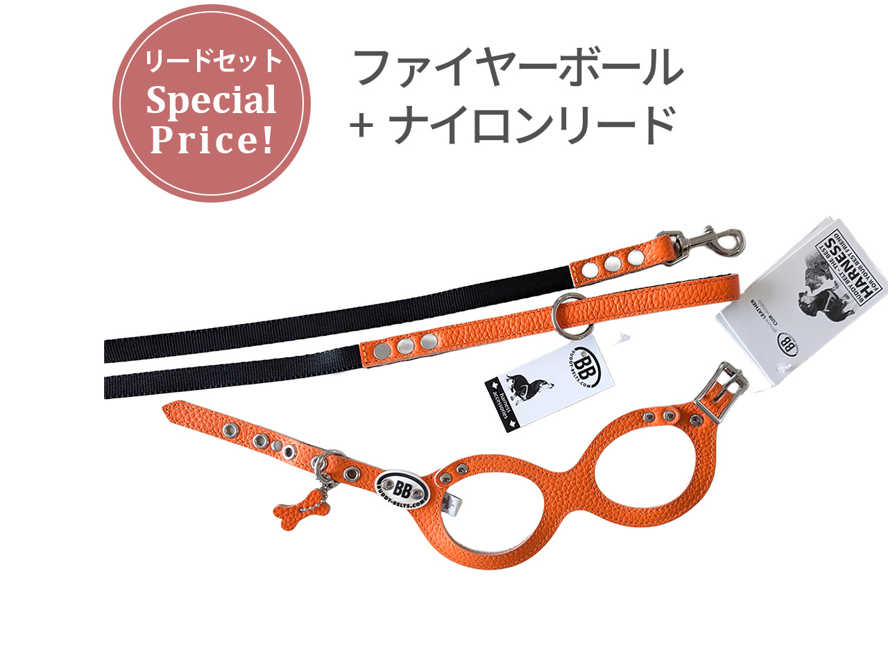 Special Price ハーネス・リードセット　ファイヤーボール　2号/4.5号　ナイロンリード