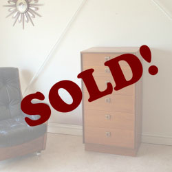 ジープラン・Ｇ－ｐｌａｎ・チェスト・チーク