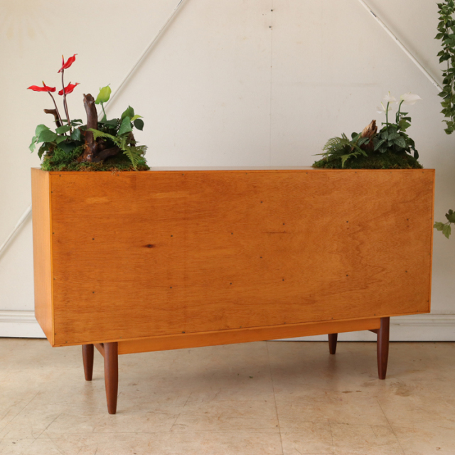 ジープラン（G-plan）製ビンテージの植栽サイドボードの背面