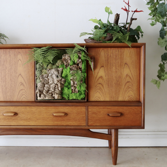 ジープラン（G-plan）製ビンテージのサイドボード　植栽