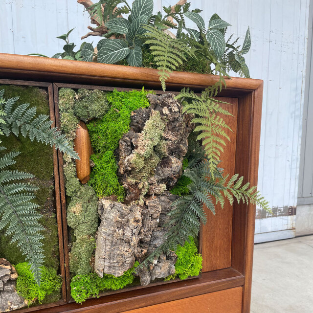 ヴィンテージ家具とガジュマル