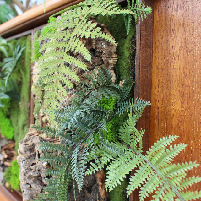 ヴィンテージ家具とガジュマル