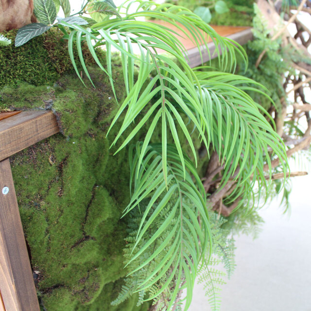 ヴィンテージ家具とガジュマル