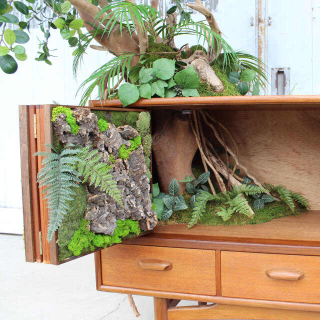 ヴィンテージ家具とガジュマル