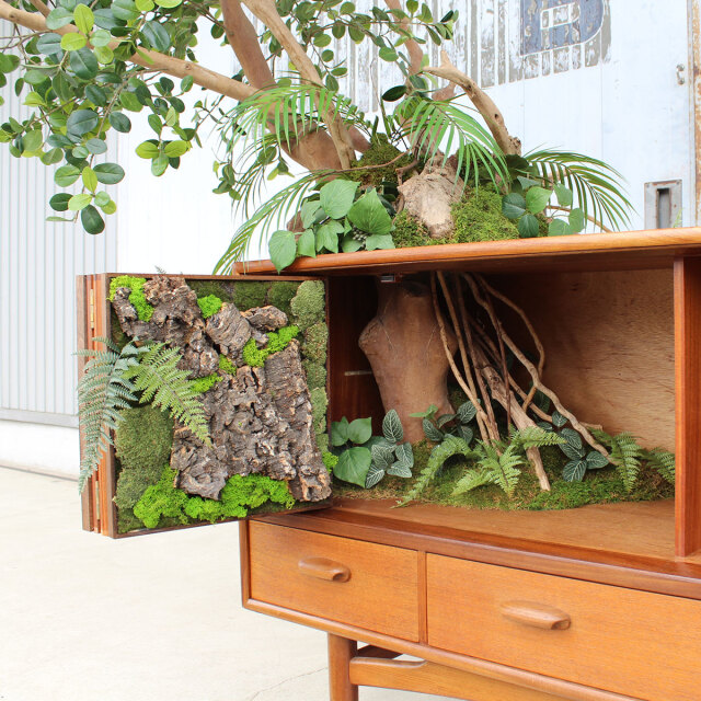 ヴィンテージ家具とガジュマル