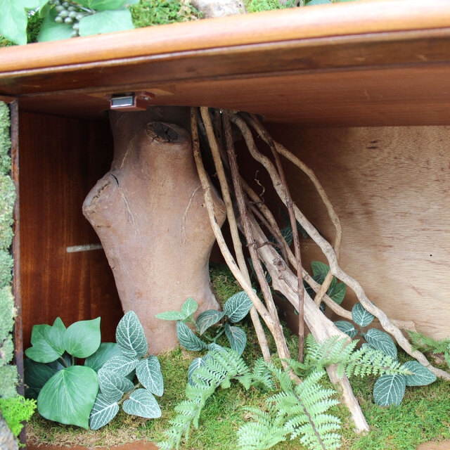 ヴィンテージ家具とガジュマル