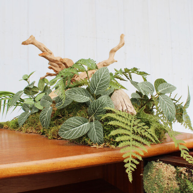 ヴィンテージ家具とガジュマル