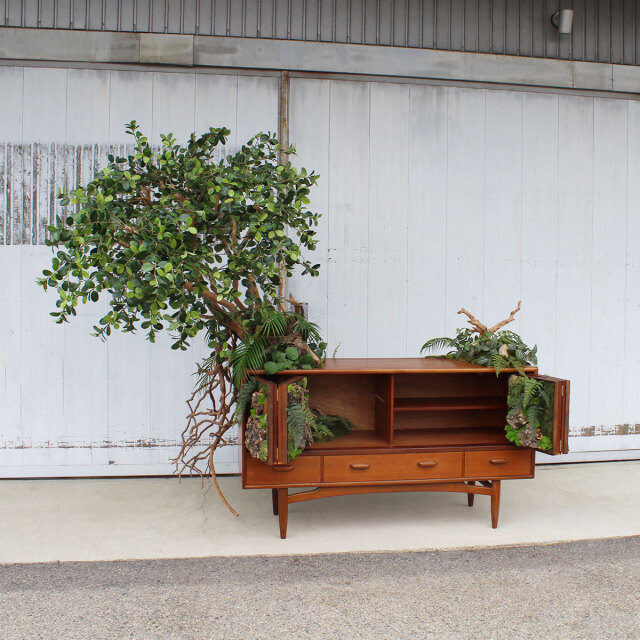 ヴィンテージ家具とガジュマル