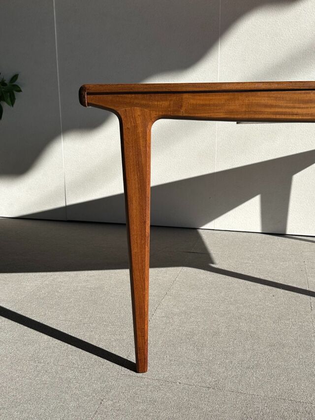 オススメすると胡散臭いけど、オススメします。 ヤンガーYoungerの