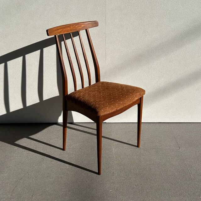 ヤンガーYOUNGERのダイニングチェア