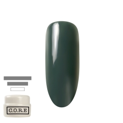 CORE コアジェル C013 サファリ 5g