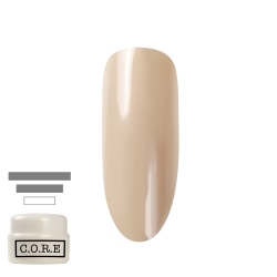 CORE コアジェル C041 ドリフトウッド 5g