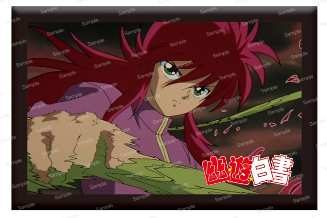 幽☆遊☆白書 マグネット 蔵馬