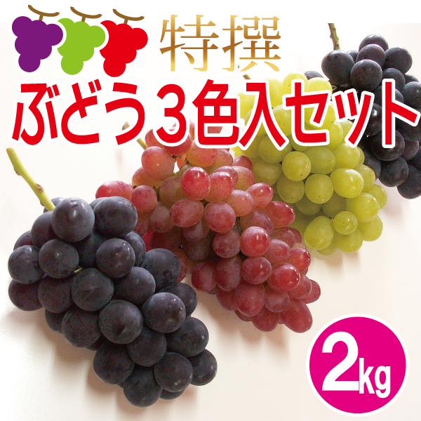 3色ぶどうセット2kg