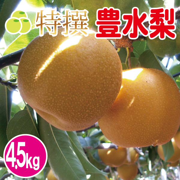豊水梨4.5kg