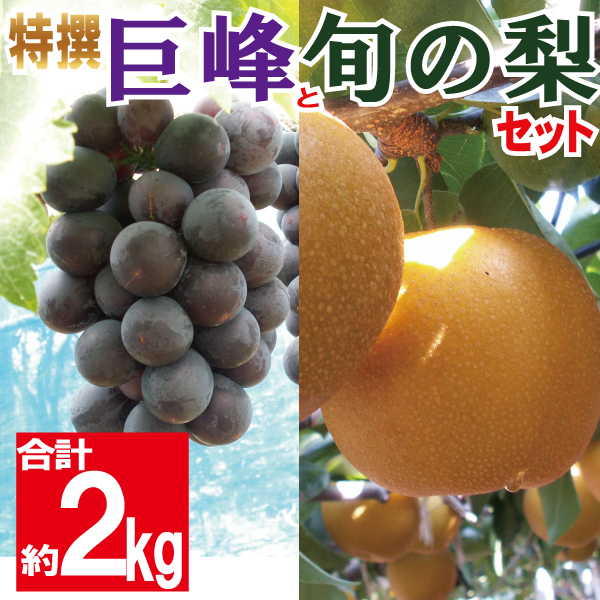 巨峰と梨のセット2kg