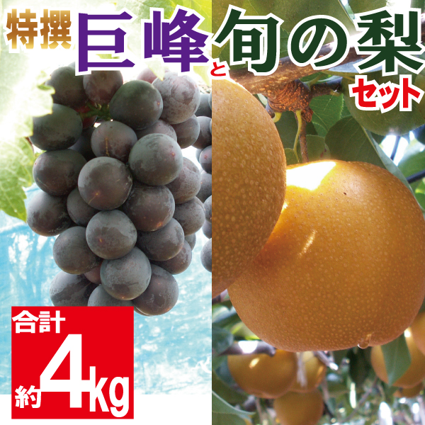 巨峰と梨のセット4kg
