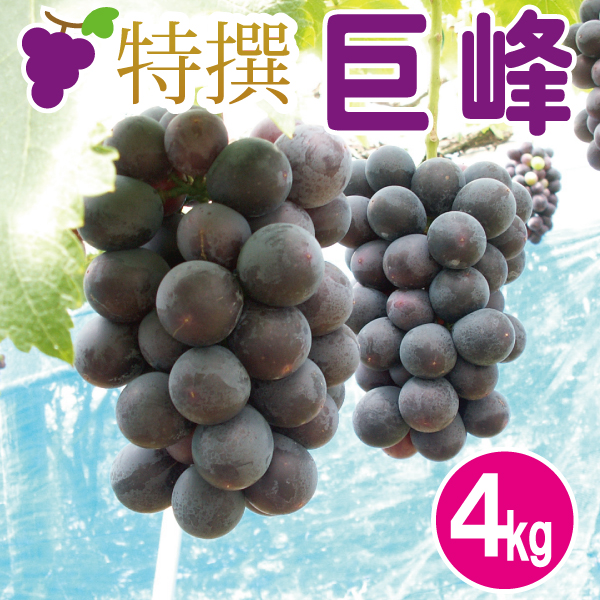 特撰巨峰ぶどう4kg