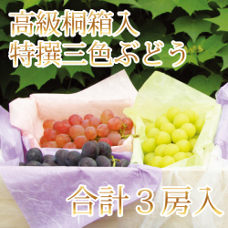 桐箱３色ぶどう