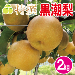 黒潮梨2kg