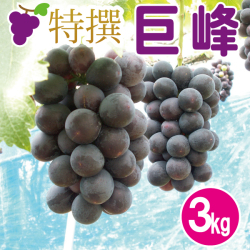 特撰巨峰ぶどう3kg