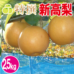 新高梨2.5kg