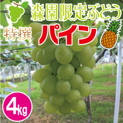 特撰パインぶどう4kg