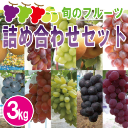 旬のフルーツ詰め合わせセット3kg