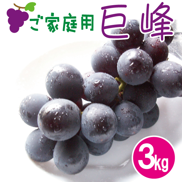 ご家庭用巨峰3kg
