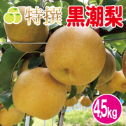 黒潮梨4.5kg
