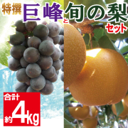 巨峰と梨のセット4kg