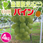 特撰パインぶどう4kg