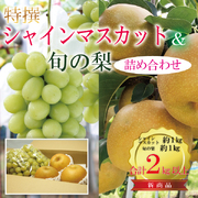 シャインマスカットと旬の梨セット合計2kg　【発送期間】9月上旬～10月上旬