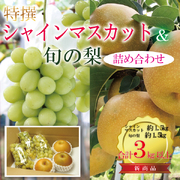シャインマスカットと旬の梨セット合計3kg　【発送期間】9月上旬～10月上旬