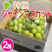 特撰シャインマスカット2房入