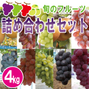 旬のフルーツ詰め合わせセット4kg