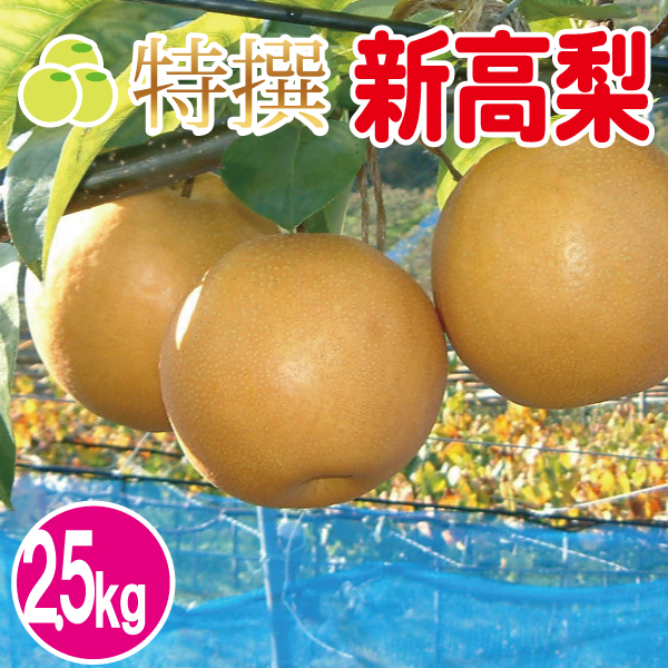 新高梨2.5kg
