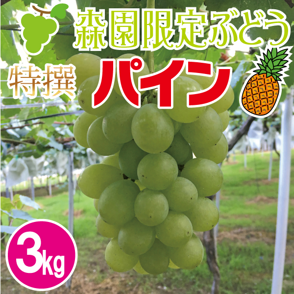 特撰パインぶどう3kg