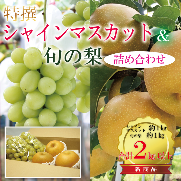 シャインマスカットと旬の梨セット合計2kg　【発送期間】9月上旬～10月上旬