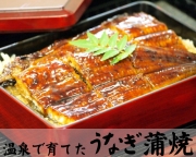 温泉で育てたうなぎ蒲焼（特大）