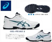 アシックス　GEL-PEAKE 2