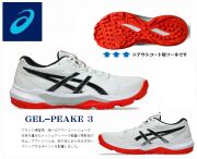 アシックス　GEL-PEAKE 3