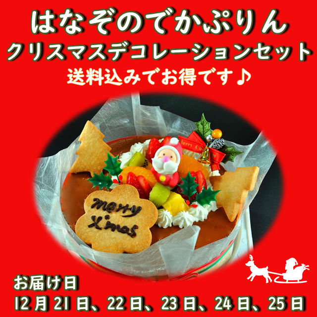 クリスマスセット2024