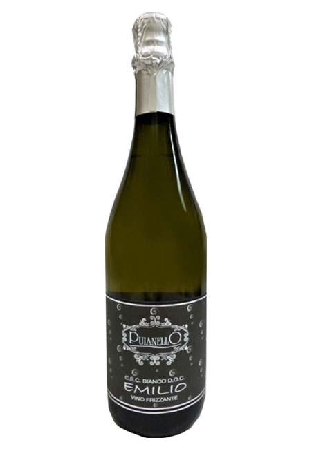 17-ランブルスコ・エミリオ DOC