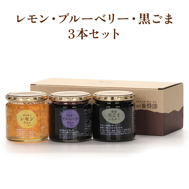 レモン・ブルーベリー・黒ごま3本セット　
