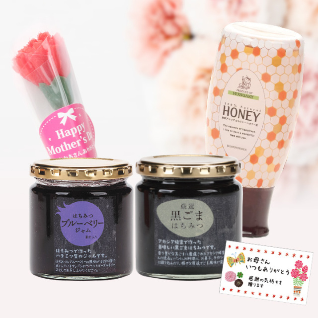 3/31迄早期割引10%off 【母の日ギフト】ハンガリーアカシア・黒ごま、ブルーベリージャムセット　★送料無料 予約注文は5/7 12:00迄