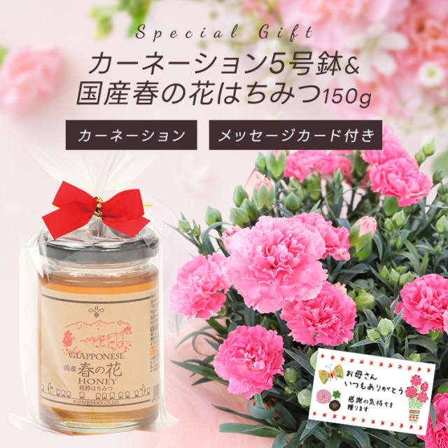 3/31迄早期割引10% 母の日ギフト【送料無料★本州限定】カーネーション5号&国産春の花はちみつ150g メッセージカード付 ご注文受付期間は5月7日12:00まで！