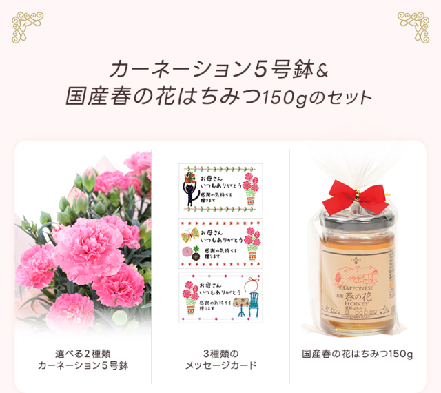ぽんちゃんのページです♪　母の日　カーネーションと子猫 ぽんちゃん様専用のページです♪ 母の日 カーネーションと子猫