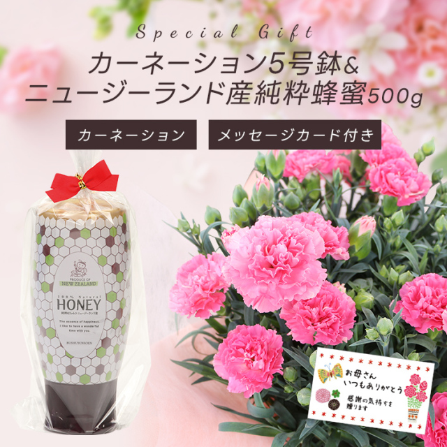 3/31迄早期割引10%  母の日ギフト【送料無料 ★本州限定】カーネーション5号鉢＆ニュージーランド産純粋蜂蜜500g メッセージカード付 ご注文受付期間は5月7日12:00まで！