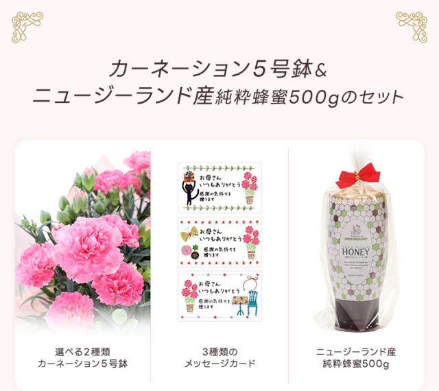 5/6迄早期割引5% +ポイント5倍 母の日ギフト【送料無料 ☆本州限定